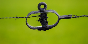 7 Simple Tips to Building a Secure Online Business