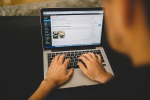 Multi Niche Blogs Vs Single Niche Blogs