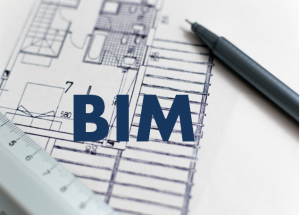 BIM