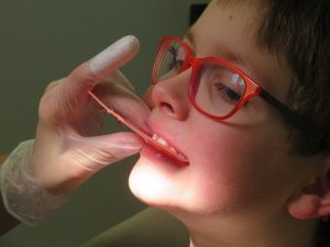 dental insurance