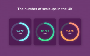 The number of scaleups in the UK Copy