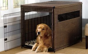 Dog Crate
