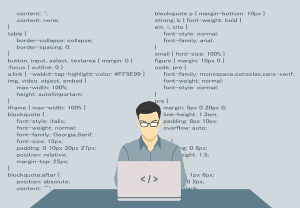 Web Developer