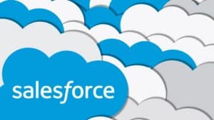 Salesforce Business Analyst