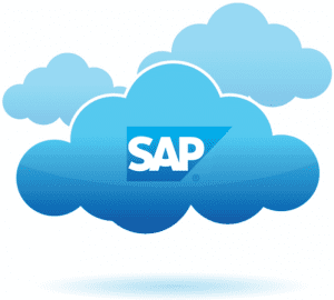 An overview of SAPs Performance and Planning Management Software Solution