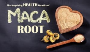 The Surprising Health Benefits of Maca Root