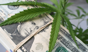 Tips to Market your Cannabis Business Online