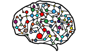 Choosing the Best Normalization for Neural Networks