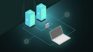Popular Types of Web Hosting You Can Use to Grow Business